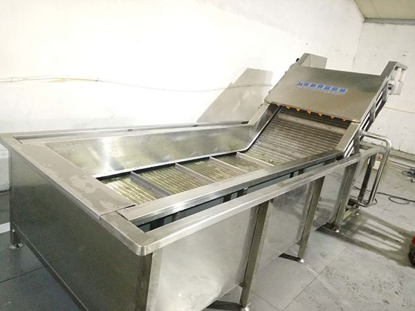 葉類(lèi)蔬菜氣泡清洗機(jī)